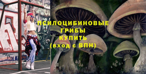 кокс Арсеньев