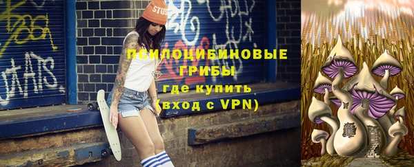 кокс Арсеньев