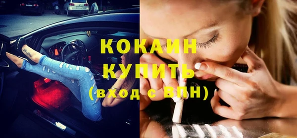 кокс Арсеньев