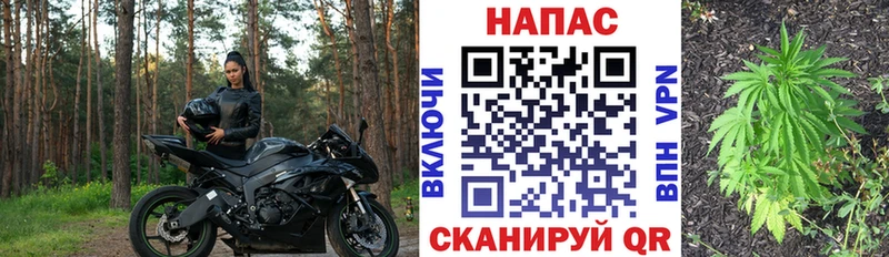 МАРИХУАНА планчик  ссылка на мегу зеркало  Кочубеевское 